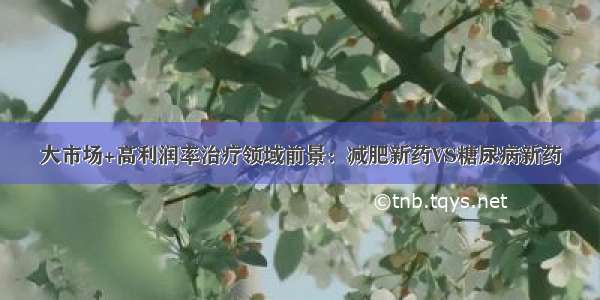 大市场+高利润率治疗领域前景：减肥新药VS糖尿病新药