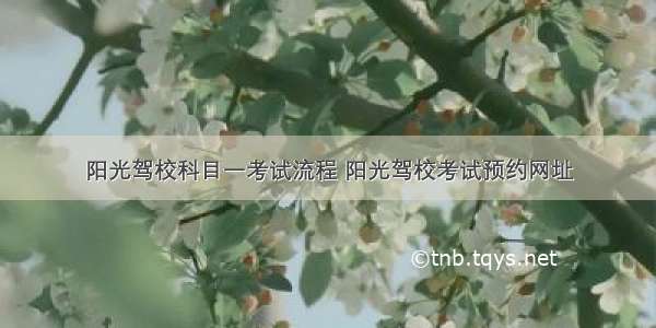 阳光驾校科目一考试流程 阳光驾校考试预约网址