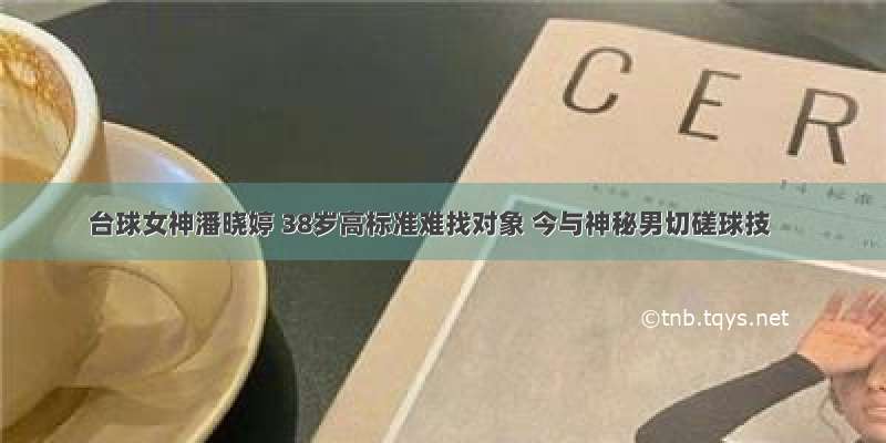 台球女神潘晓婷 38岁高标准难找对象 今与神秘男切磋球技