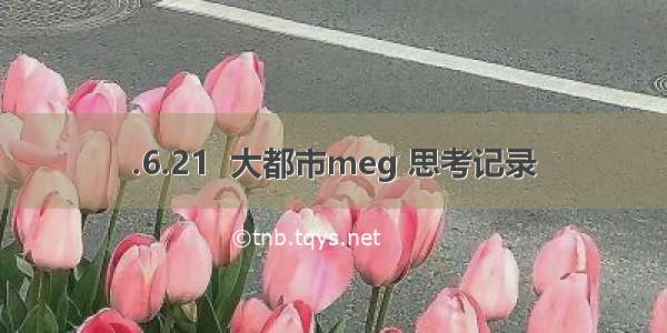 .6.21  大都市meg 思考记录