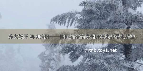 养大好肝 再切病肝——国际新法给贵州肝癌患者带来希望