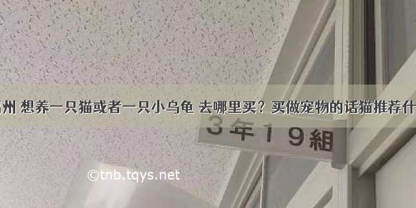 我现在在福州 想养一只猫或者一只小乌龟 去哪里买？买做宠物的话猫推荐什么品种？乌