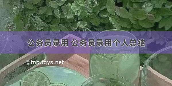 公务员录用 公务员录用个人总结