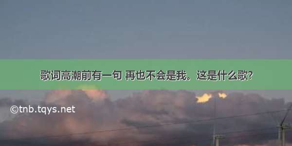 歌词高潮前有一句 再也不会是我。这是什么歌？