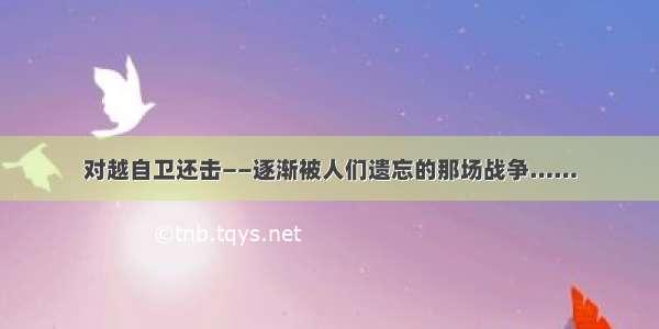 对越自卫还击——逐渐被人们遗忘的那场战争……