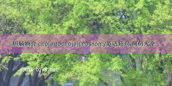 胆肠吻合 choledochojejunostomy英语短句 例句大全