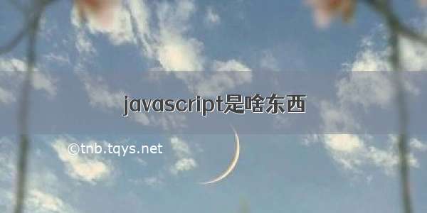 javascript是啥东西