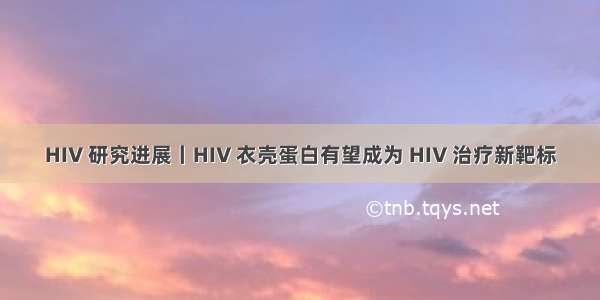 HIV 研究进展丨HIV 衣壳蛋白有望成为 HIV 治疗新靶标