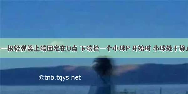 如图所示 一根轻弹簧上端固定在O点 下端拴一个小球P 开始时 小球处于静止状态．现