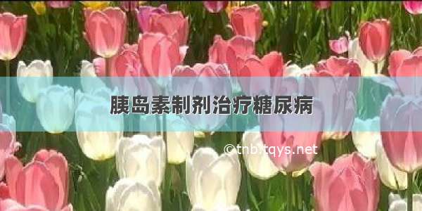 胰岛素制剂治疗糖尿病