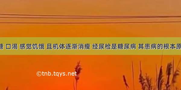 某人尿糖 口渴 感觉饥饿 且机体逐渐消瘦 经尿检是糖尿病 其患病的根本原因是A. 