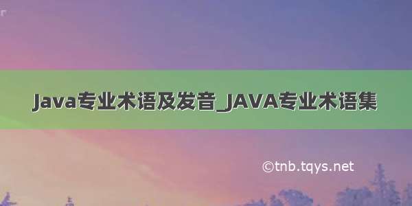 Java专业术语及发音_JAVA专业术语集