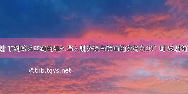 关于光的反射 下列说法正确的是A.当入射光线与镜面的夹角为20°时 反射角也为20°B.