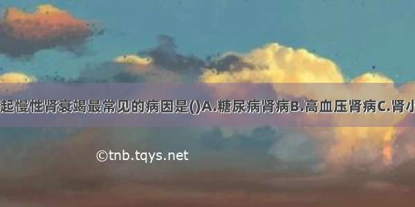 发达国家 引起慢性肾衰竭最常见的病因是()A.糖尿病肾病B.高血压肾病C.肾小球肾炎D.多