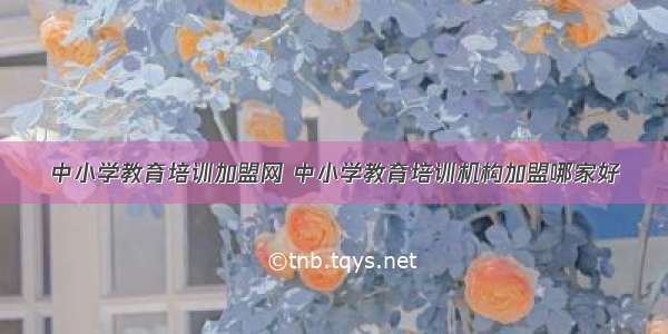 中小学教育培训加盟网 中小学教育培训机构加盟哪家好