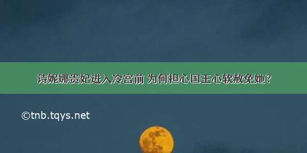 诗妮娜贵妃进入冷宫前 为何担心国王心软赦免她？