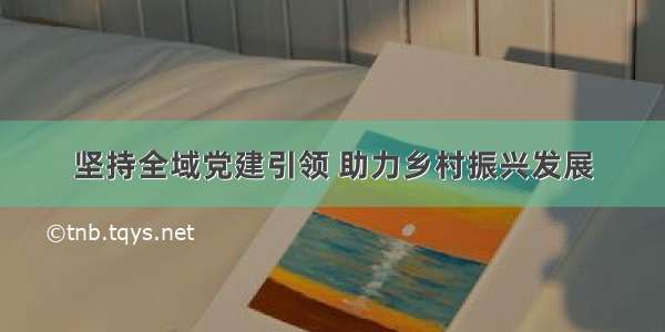 坚持全域党建引领 助力乡村振兴发展