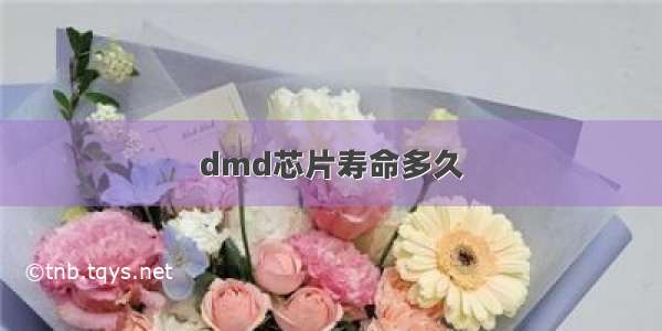 dmd芯片寿命多久