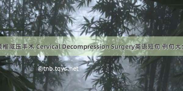 颈椎减压手术 Cervical Decompression Surgery英语短句 例句大全