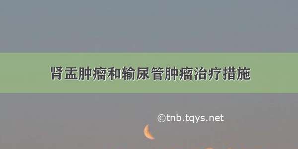 肾盂肿瘤和输尿管肿瘤治疗措施