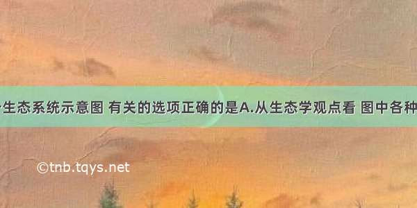 下图为一个生态系统示意图 有关的选项正确的是A.从生态学观点看 图中各种生物共同构