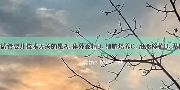 以下与试管婴儿技术无关的是A. 体外受精B. 细胞培养C. 胚胎移植D. 基因重组