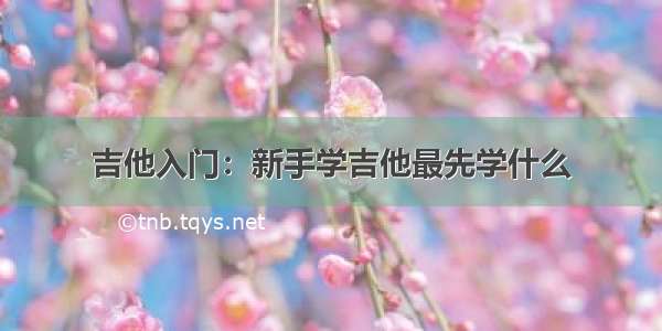 吉他入门：新手学吉他最先学什么