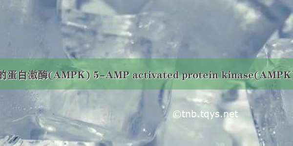 5-一磷酸腺苷激活的蛋白激酶(AMPK) 5-AMP activated protein kinase(AMPK)英语短句 例句大全