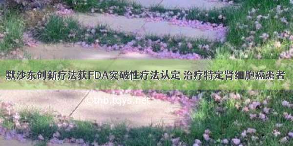 默沙东创新疗法获FDA突破性疗法认定 治疗特定肾细胞癌患者