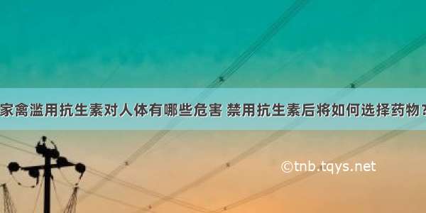 家禽滥用抗生素对人体有哪些危害 禁用抗生素后将如何选择药物？