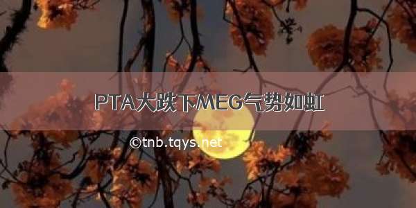 PTA大跌下MEG气势如虹