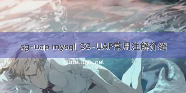 sg-uap mysql_SG-UAP常用注解介绍