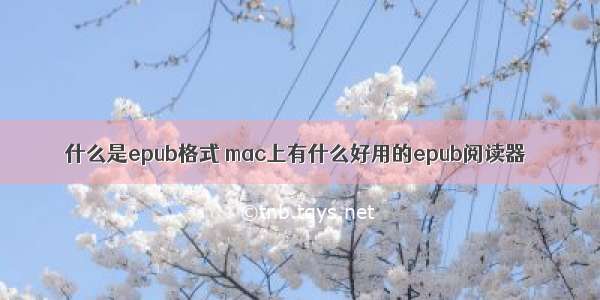 什么是epub格式 mac上有什么好用的epub阅读器