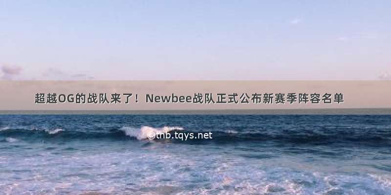 超越OG的战队来了！Newbee战队正式公布新赛季阵容名单