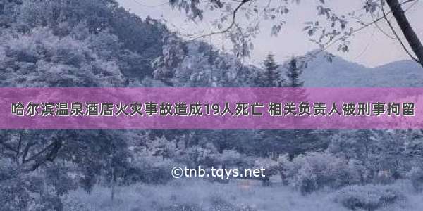 哈尔滨温泉酒店火灾事故造成19人死亡 相关负责人被刑事拘留