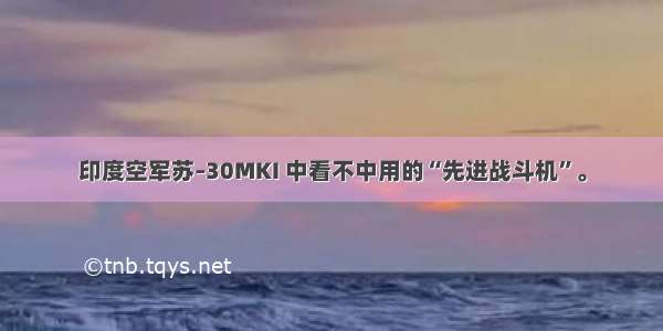 印度空军苏–30MKI 中看不中用的“先进战斗机”。