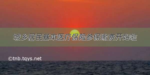 城乡居民基本医疗保险参保缴费开始啦