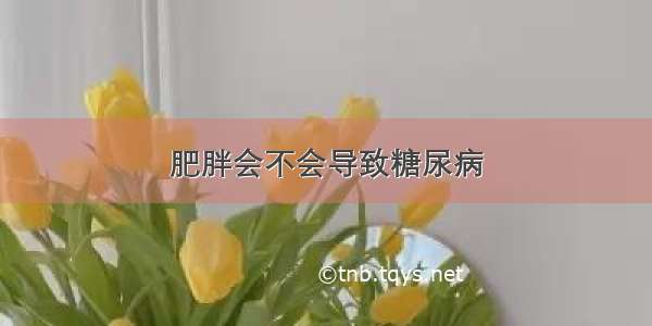 肥胖会不会导致糖尿病