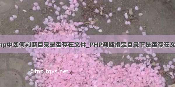 php中如何判断目录是否存在文件_PHP判断指定目录下是否存在文件