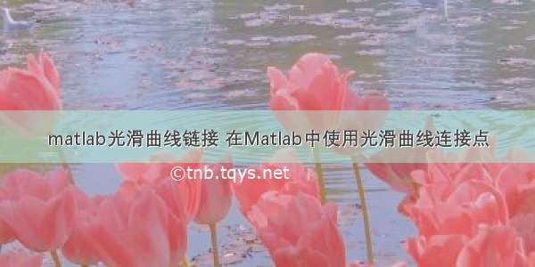 matlab光滑曲线链接 在Matlab中使用光滑曲线连接点