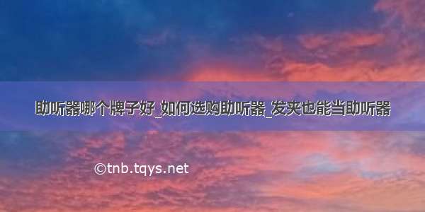 助听器哪个牌子好_如何选购助听器_发夹也能当助听器