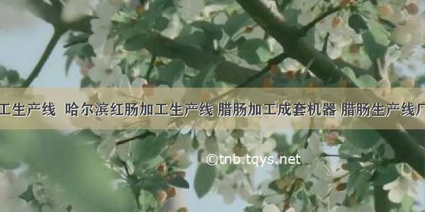 香肠加工生产线  哈尔滨红肠加工生产线 腊肠加工成套机器 腊肠生产线厂家直销