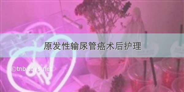 原发性输尿管癌术后护理