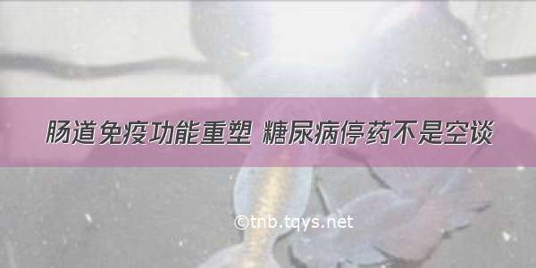 肠道免疫功能重塑 糖尿病停药不是空谈