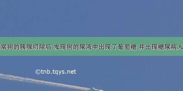 科学家将正常狗的胰腺切除后 发现狗的尿液中出现了葡萄糖 并出现糖尿病人的一些症状