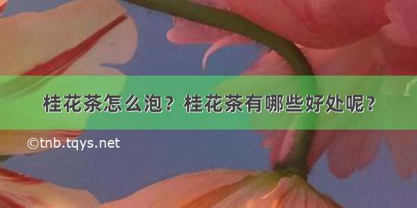 桂花茶怎么泡？桂花茶有哪些好处呢？