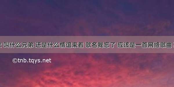 有一首歌 叫什么兄弟 还是什么情谊来着 歌名我忘了 应该是一首网络歌曲 其中有句