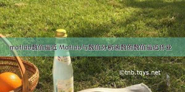 matlab数值逼近 Matlab与数值分析函数的数值逼近作业