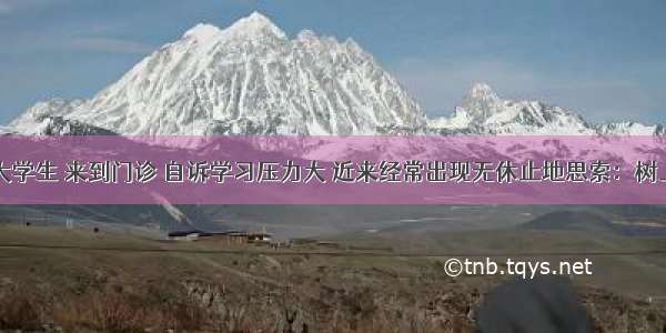 19岁的男大学生 来到门诊 自诉学习压力大 近来经常出现无休止地思索：树上叶子为什