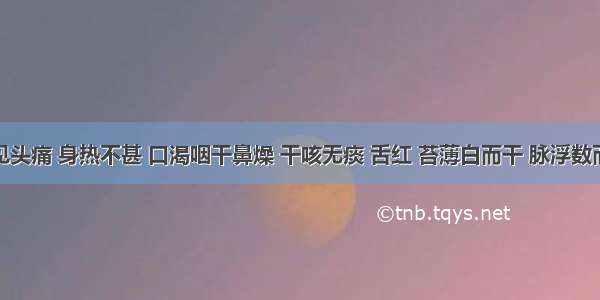 患者证见头痛 身热不甚 口渴咽干鼻燥 干咳无痰 舌红 苔薄白而干 脉浮数而右脉大